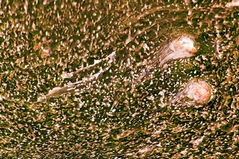 AP 147C1